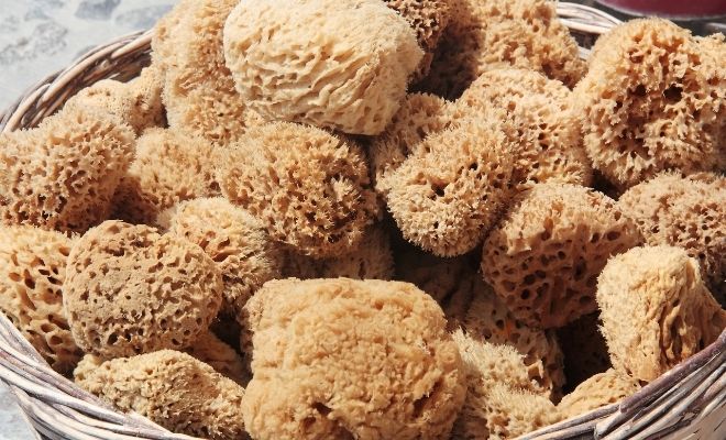 7 Surprising Ways You’ll Benefit from Using Natural Sponges